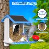 Smart Bird Feeder with Camera,Solar-Powered WiFi 4MP Live Camera,AI Identify Bird Species Auto Capture Backyard Garden Bird Watching&Motion Detection