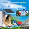 Smart Bird Feeder with Camera,Solar-Powered WiFi 4MP Live Camera,AI Identify Bird Species Auto Capture Backyard Garden Bird Watching&Motion Detection