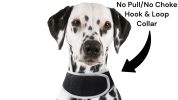 Mini GSM GPS Dog Tracking Systems with Alarm for Pet Wireless Security Size:S