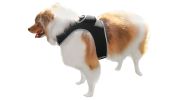 Mini GSM GPS Dog Tracking Systems with Alarm for Pet Wireless Security Size:M